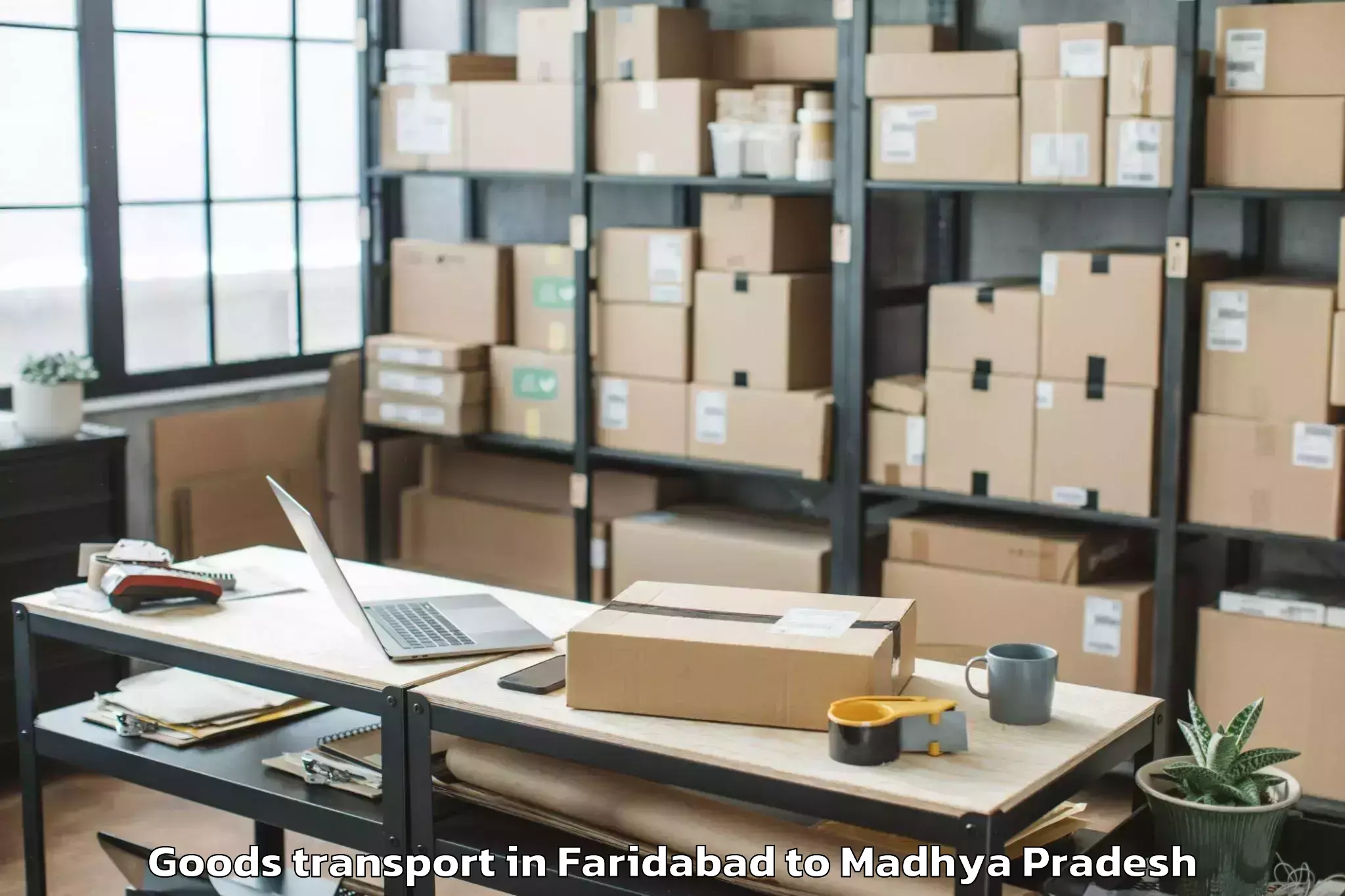 Book Faridabad to Amarkantak Goods Transport Online